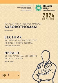 No. 3 (2024)